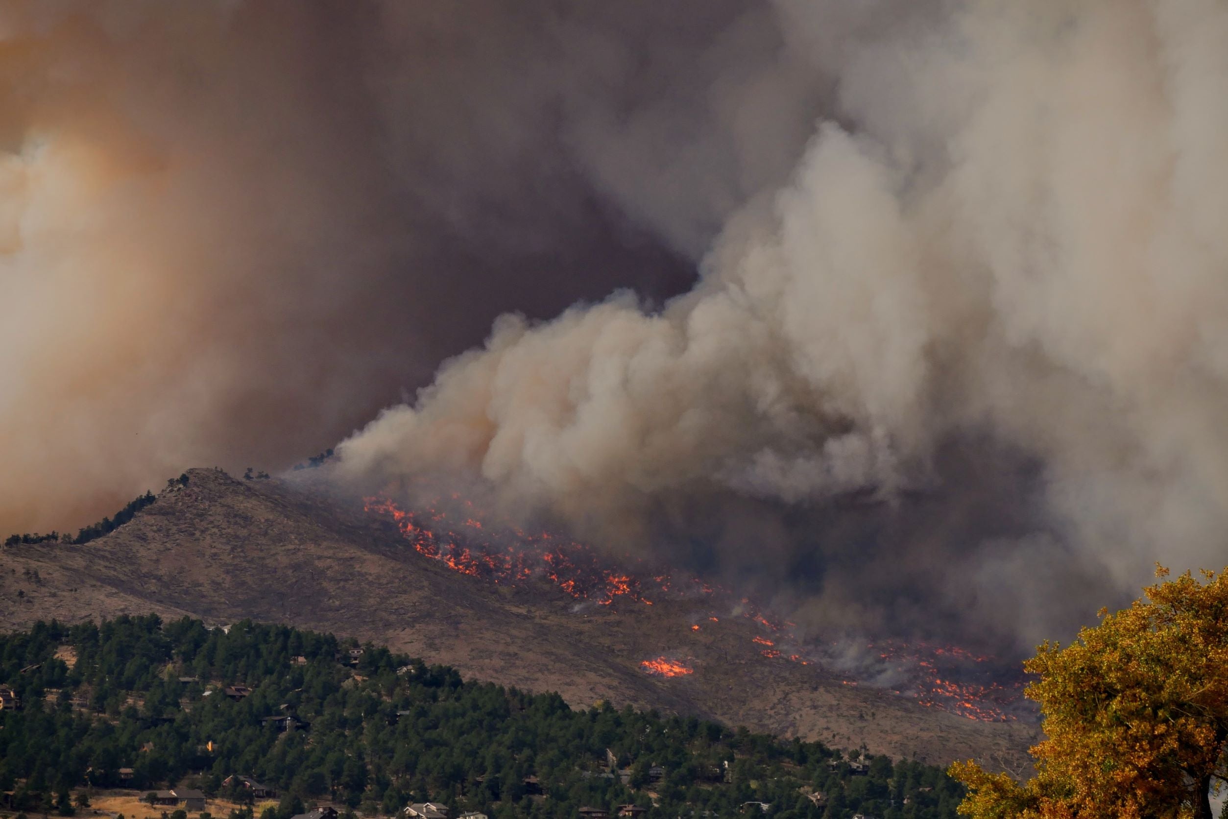 FOREST FIRE PREVENTION
