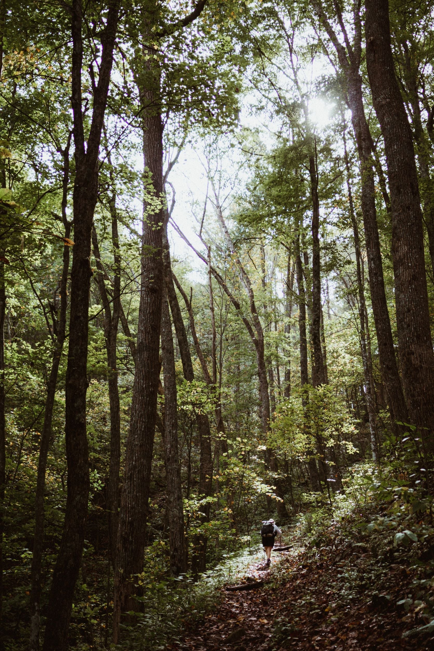 HIKING THE APPALACHIAN TRAIL