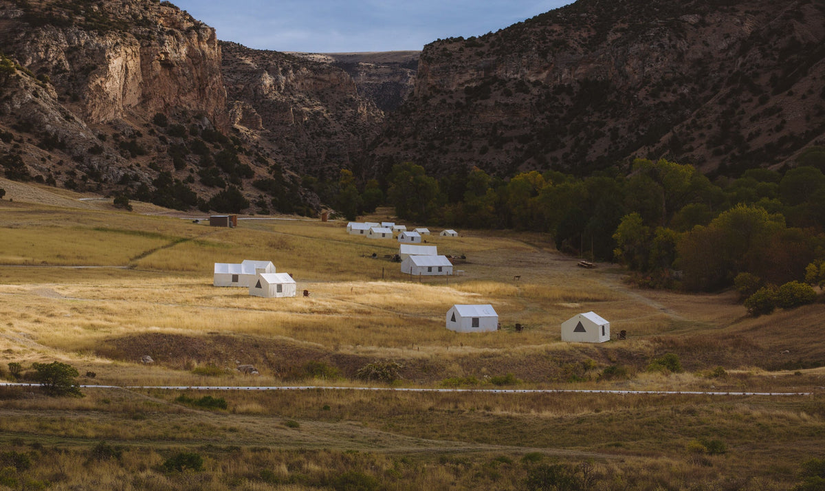White wall tents spread across golden canyon grassland, with sandstone cliffs rising behind.