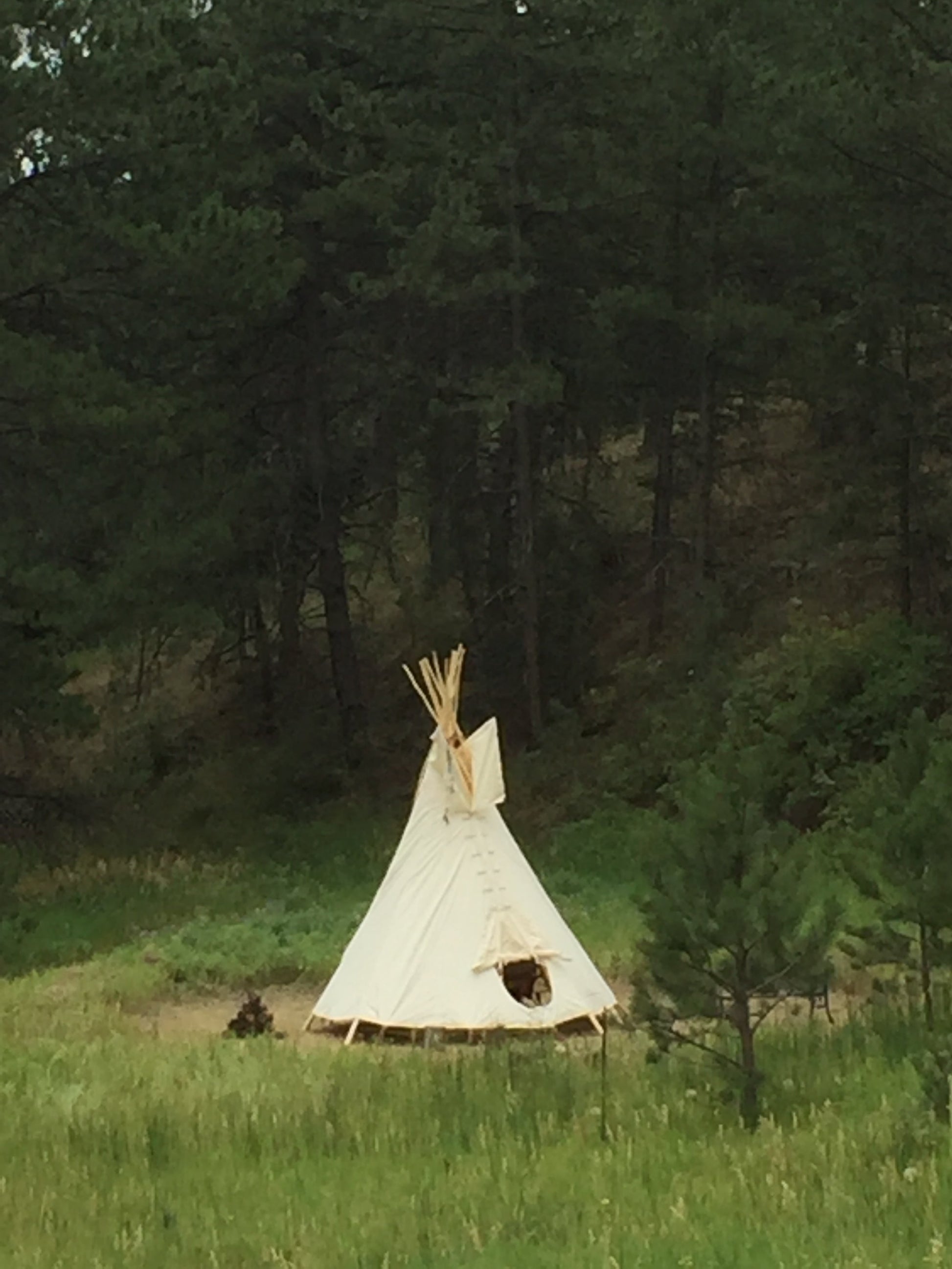 Traditional Tipi