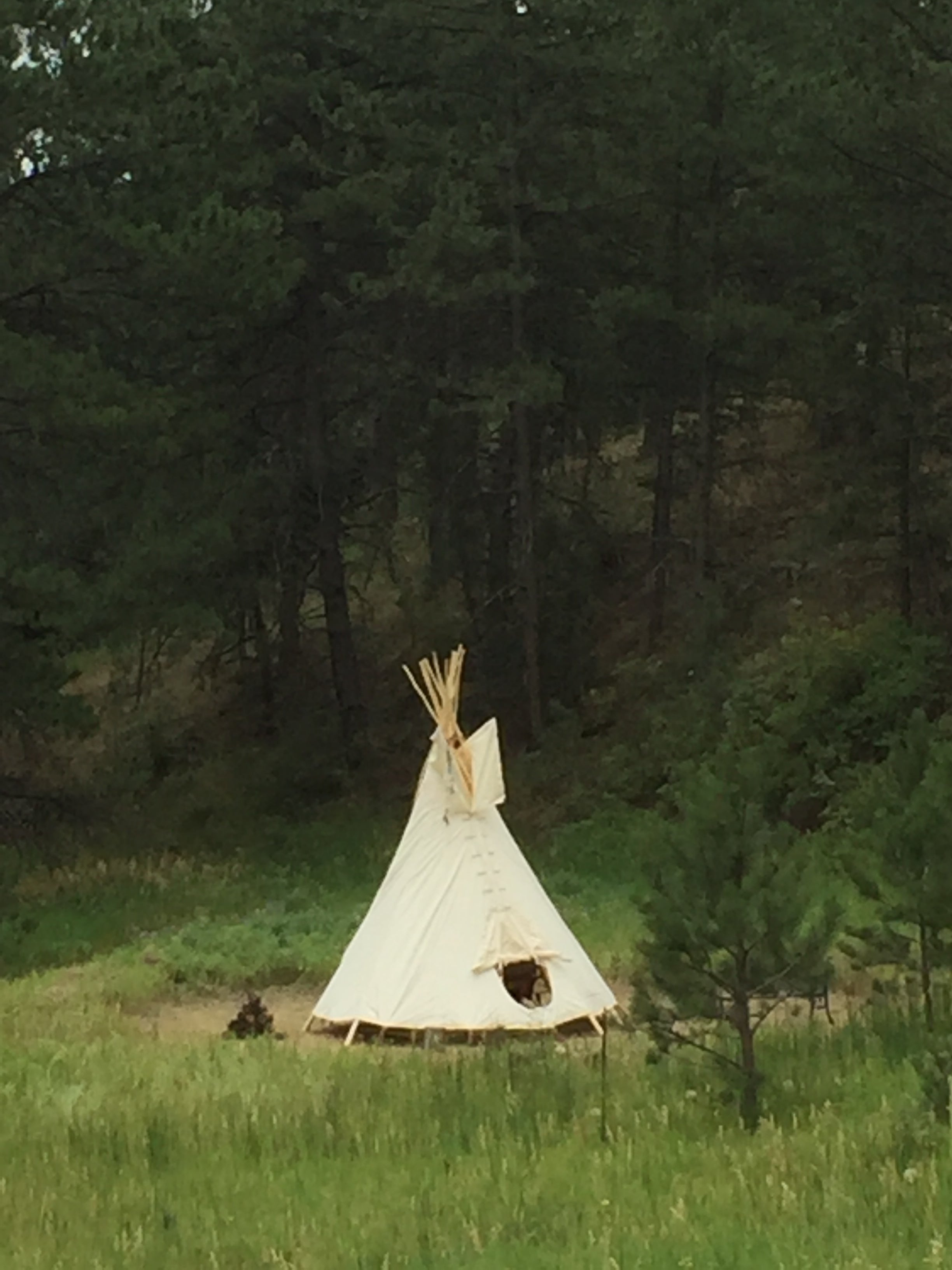 Traditional Tipi