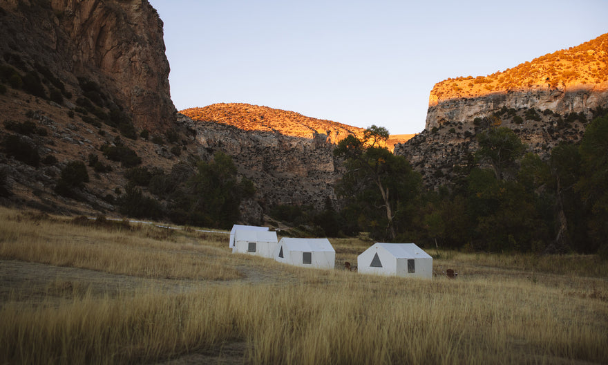 Three white wall tents on a dry grass slope as low sun lights the canyon walls behind them.