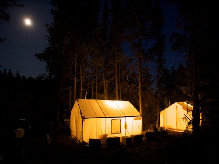 Canvas tents lit up in woods under moon light